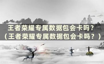 王者荣耀专属数据包会卡吗？ （王者荣耀专属数据包会卡吗？）